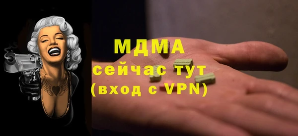 гидра Бородино