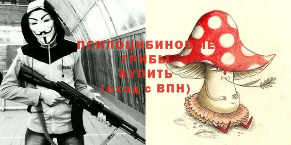 Альфа ПВП Бугульма