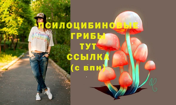 спиды Новодвинск