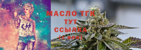 гидра Бородино