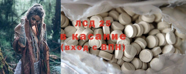шишки Новозыбков