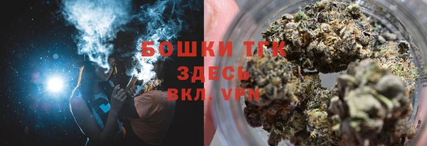 гидра Бородино