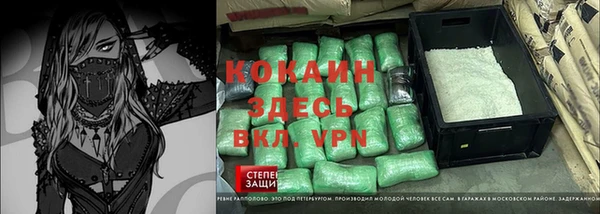 гидра Бородино